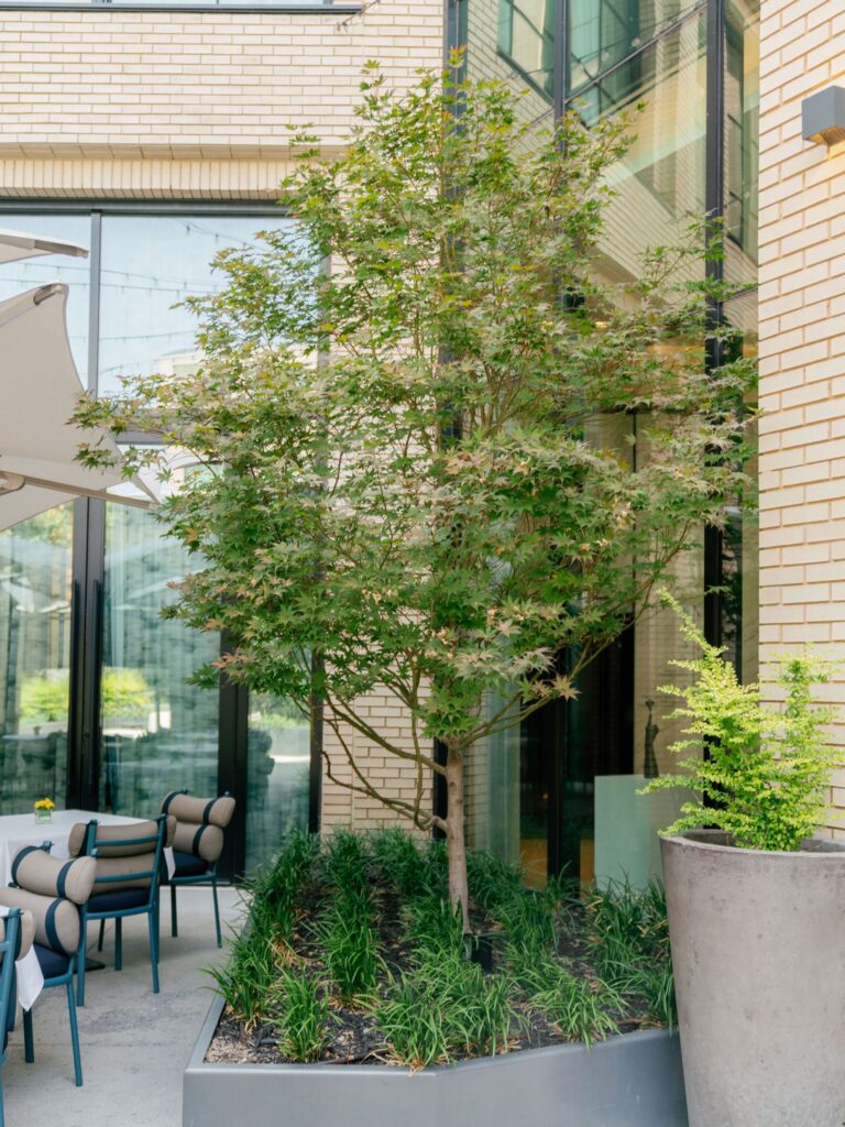 Outdoor space at Emilia's at the Crescent Hotel Fort Worth wedding venue